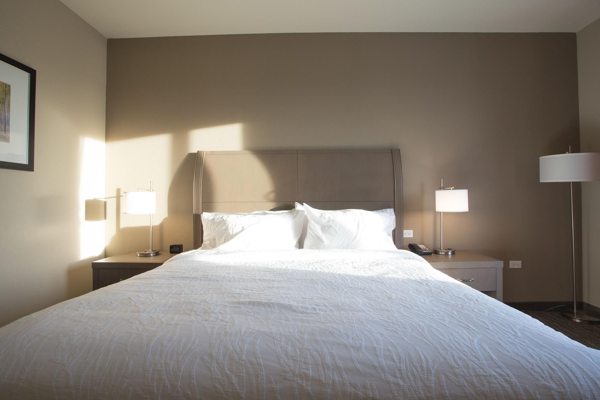 Hilton Garden Inn Bolingbrook I-55 Ngoại thất bức ảnh