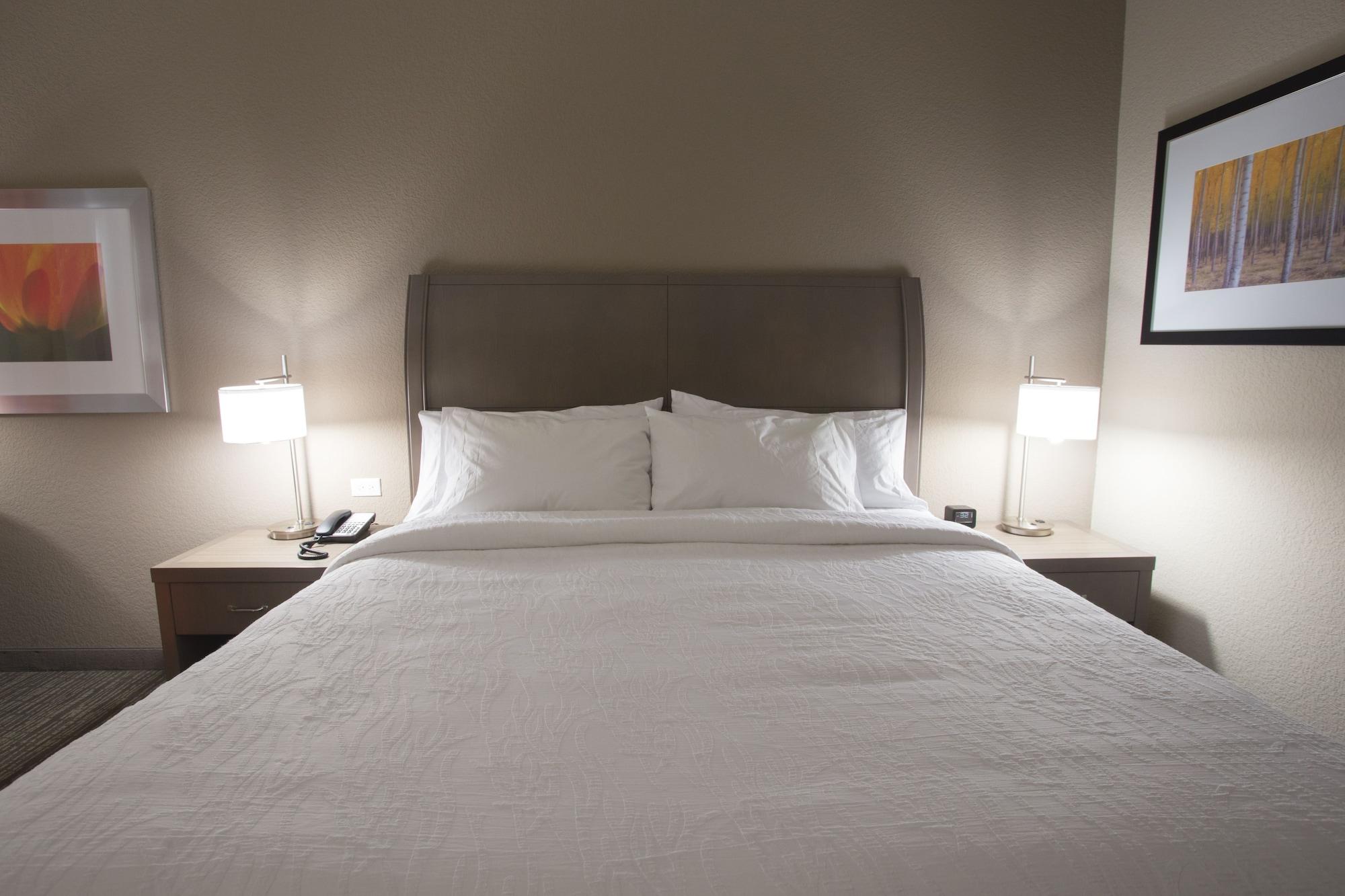 Hilton Garden Inn Bolingbrook I-55 Ngoại thất bức ảnh